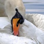 Må man stole på et rengøringsfirma i privaten? Her er eksperternes råd