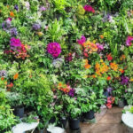 Opdag fordelene ved at bruge Kapilærkasse fra Hortus i din have eller altan